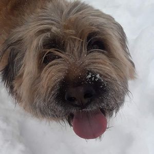 Meet your Posher, Trevor